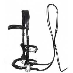 Calli Star Bitless Bridle & Reins